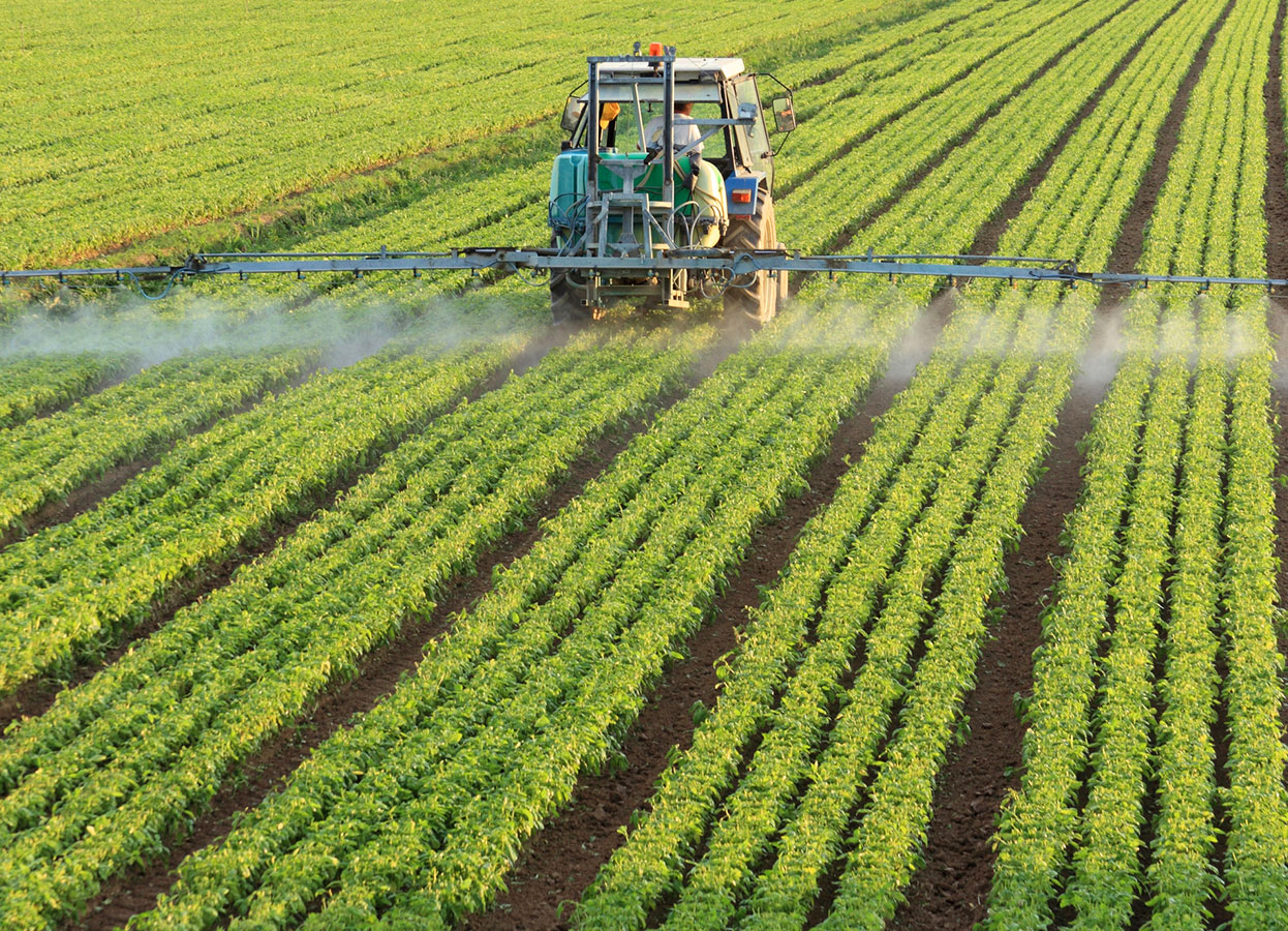 FERTILIZERS